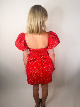 Scarlet Meadow Puff Sleeve Dress - Ardire Collection