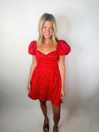 Scarlet Meadow Puff Sleeve Dress - Ardire Collection