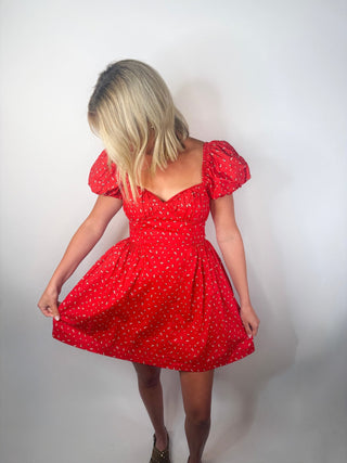Scarlet Meadow Puff Sleeve Dress - Ardire Collection